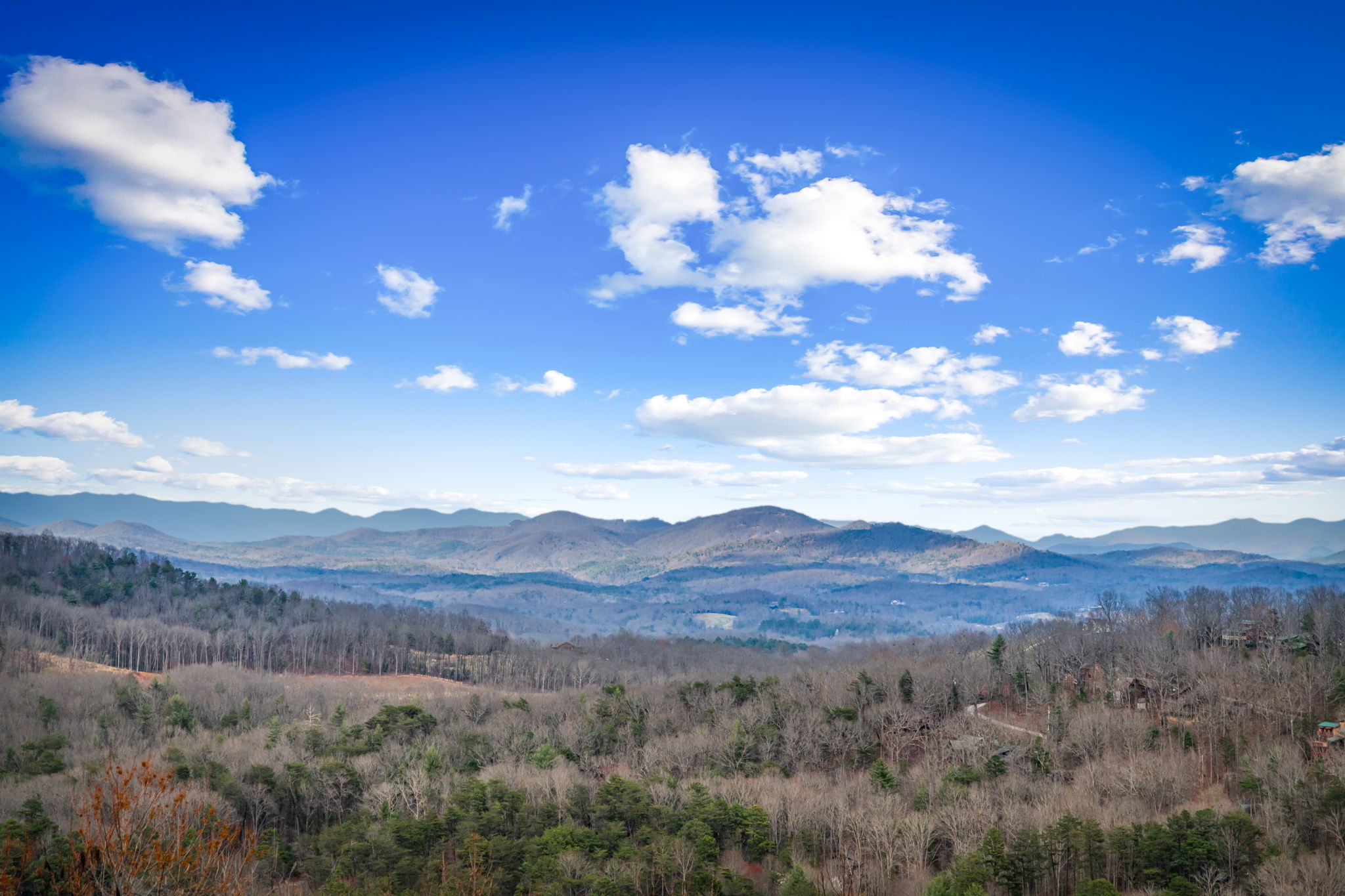 Mercier Orchards near Blue Ridge Georgia cabin rental